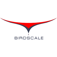 bird.png